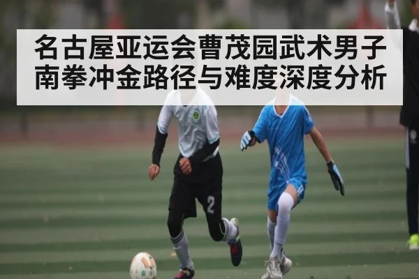 名古屋亚运会曹茂园武术男子南拳冲金路径与难度深度分析(kaiyun)